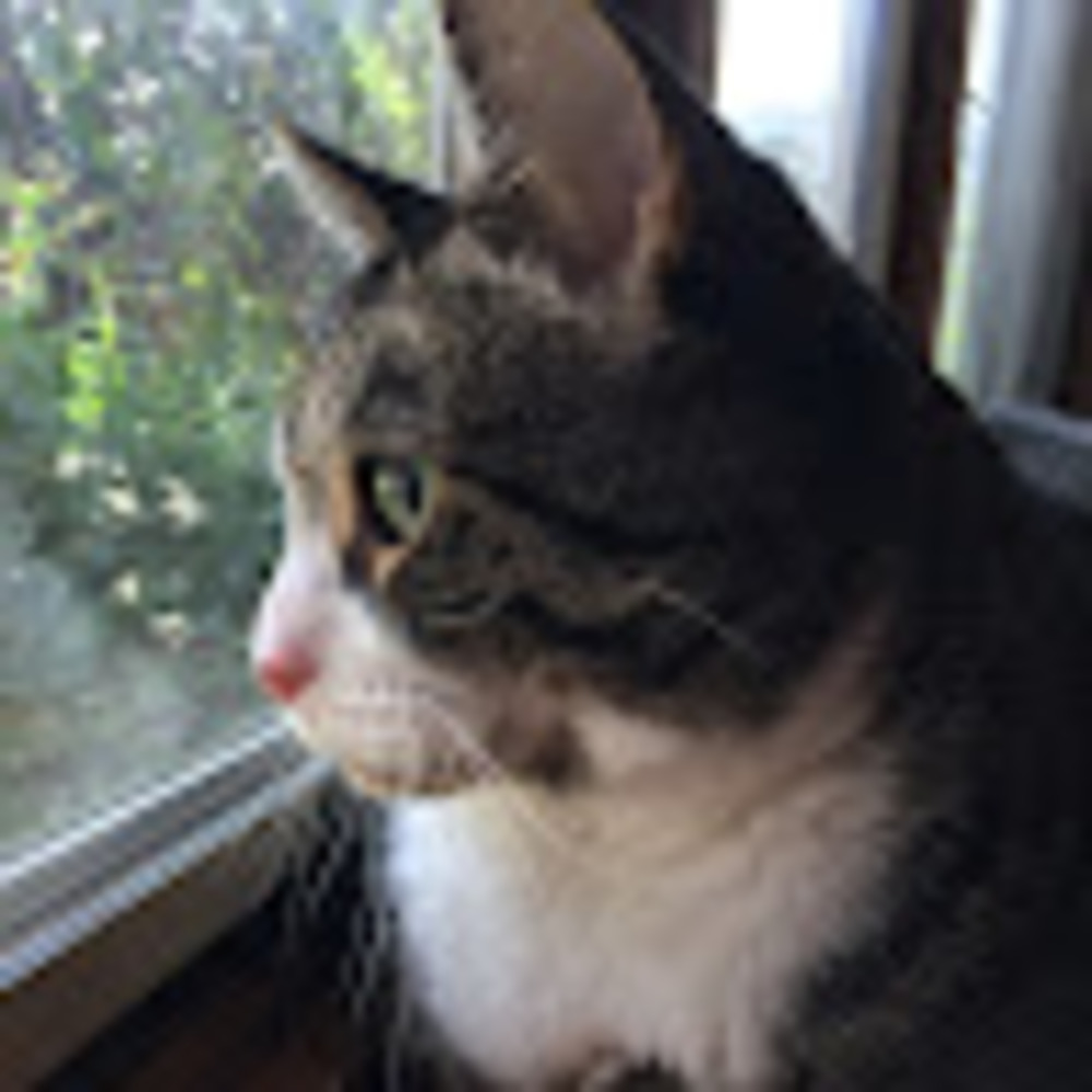 Meet your Posher, Kaiya